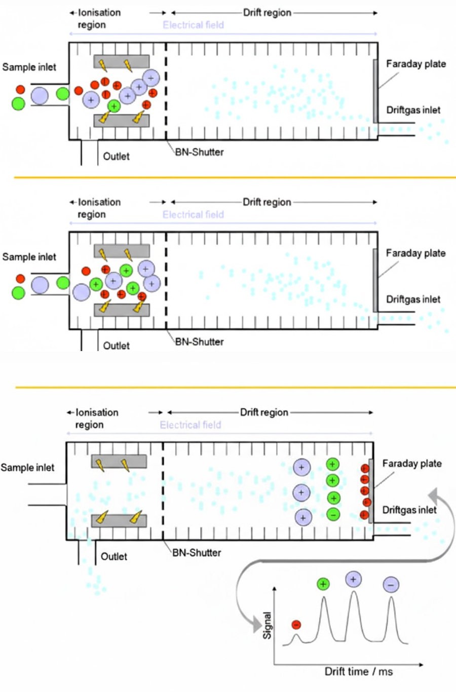 GC IMS graph