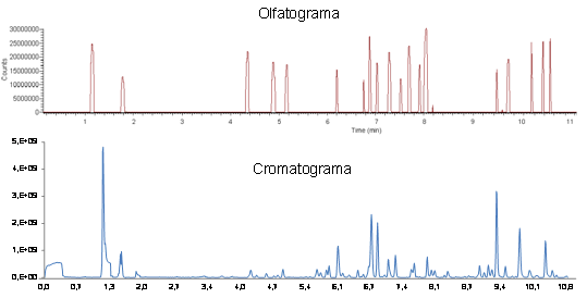 olfactogram vs chromatogram