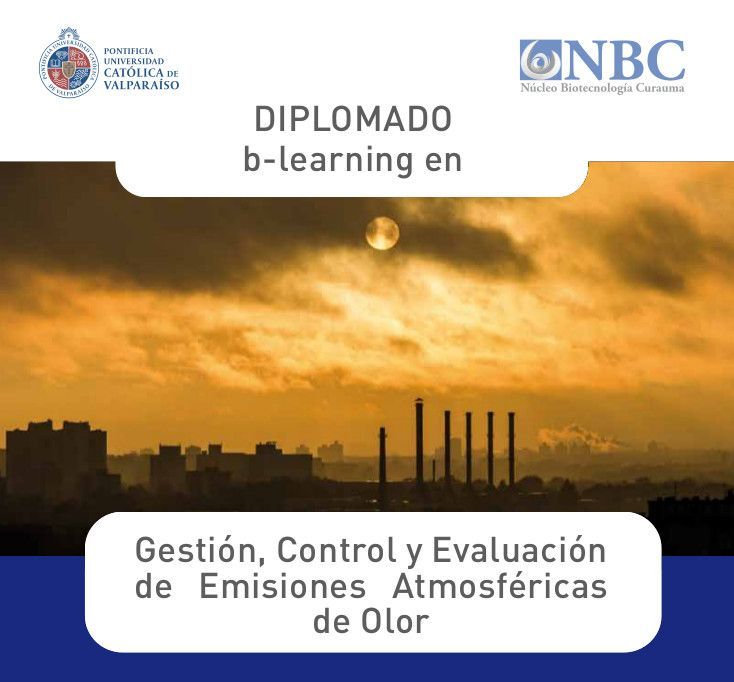1er curso