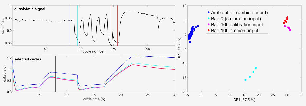 Comparison of background air and bag responses.